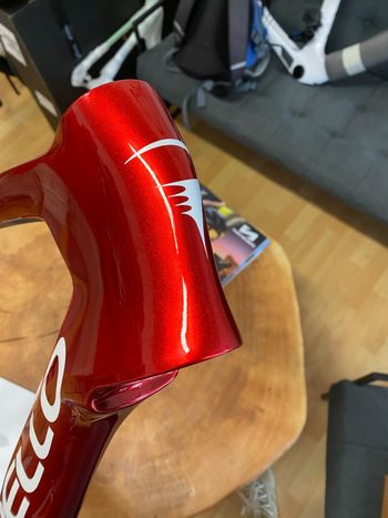 Used Pinarello Dogma F Starry Red 2025 540 2025 Road & Gravel, Rot — image 11 of 20