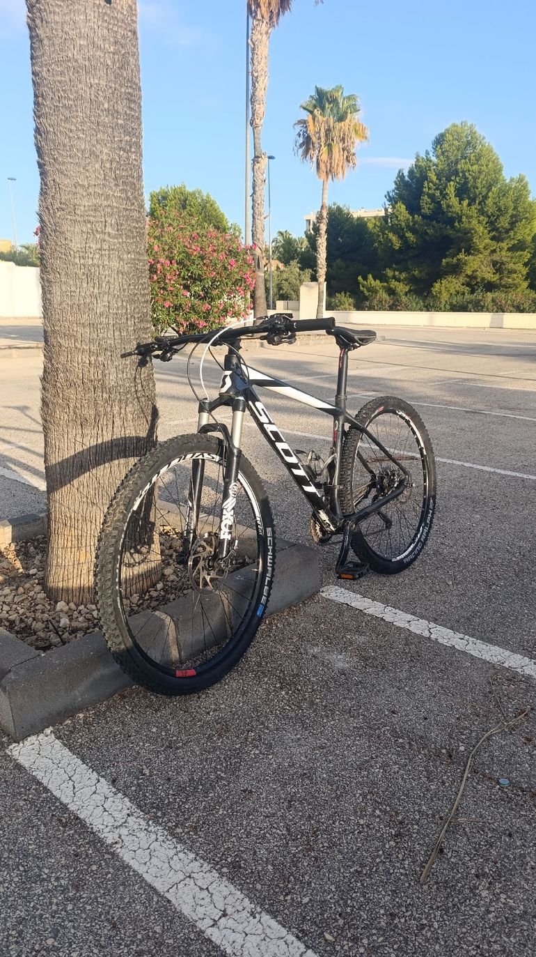 Scott Scale 910 2019