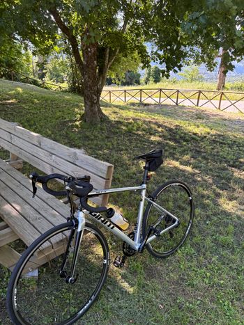 Used Giant Defy 1 2015 2015 Road & Gravel, Light Gray — image 1 of 3