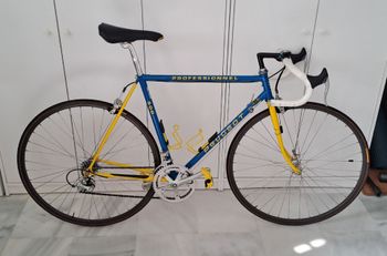Peugeot, Professionnel 500, Reynolds 531 Tubes