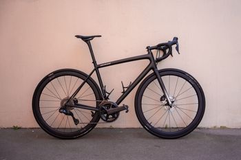 Specialized Expert 2023 2023