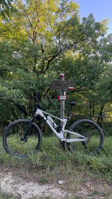 Używany Scott Spark RC Team 2024 2024 Mountainbike — zdjęcie 2 z 4