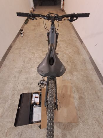 Canyon Torque:ON 7 2023 2023 Mountainbike d'occasion — image 2 sur 20