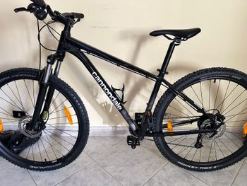 Used Cannondale Trail 8 2023 2023 Mountainbike, Black, 29 — image 2 of 3