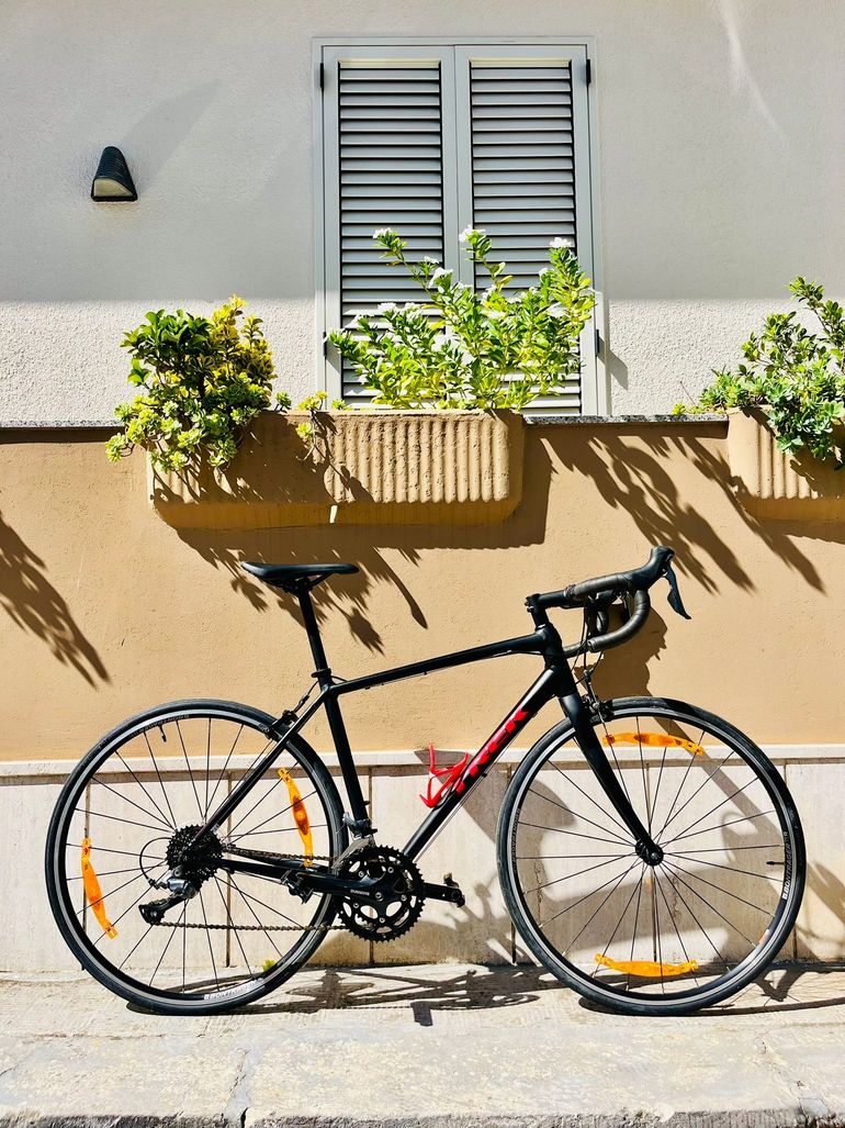 Trek Domane AL 2019 2019