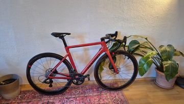 Używany Basso Astra Campagnolo Chorus 2022 2022 Road & Gravel