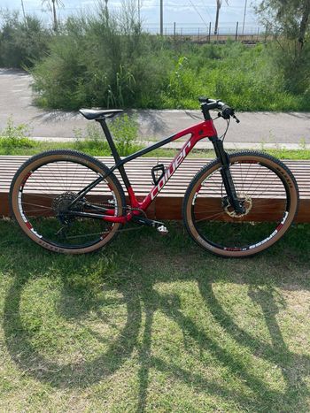 Used Coluer POISON SL 2024 MTB
