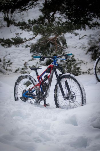 Intense, Carbine SRAM GX Eagle AXS