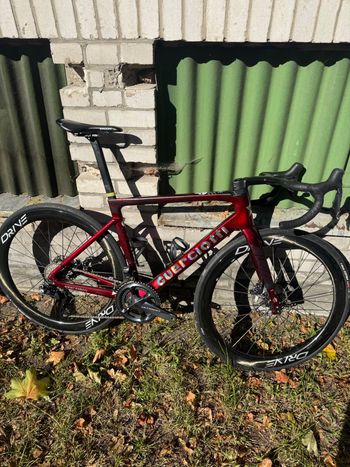 Guerciotti, Guerciotti Eclipse S 2024