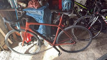 Used Giant GIANT TCR ADVANCED SL DISC Ff 2022 2022 Road & Gravel, Orange — image 1 of 4