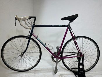 Bianchi, Premio 907