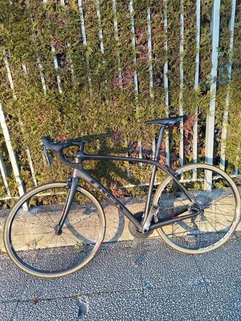 Trek Domane SL 6 2018 2018