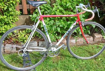 Gebrauchtes Giant Speeder Lite, Année 1990 1990 Road & Gravel