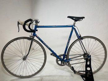 Romani, Blue