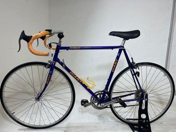 Giant, Peleton