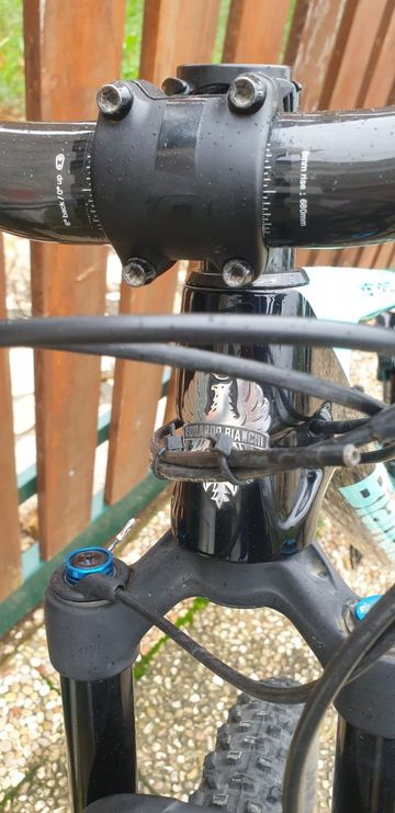 Used Bianchi Ethanol SRAM X01 DH 2020 Mountainbike, Green — image 9 of 9