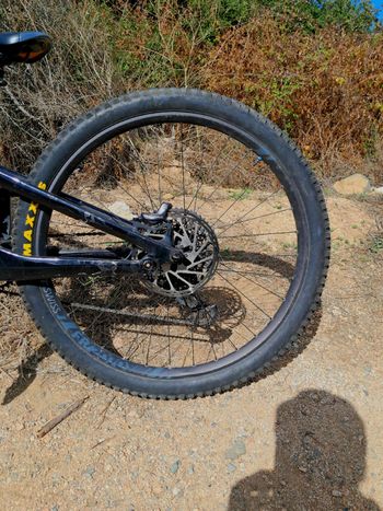 Canyon Torque 29 CF 7 2023 2023 Mountainbike usato, Nero — immagine 5 di 10