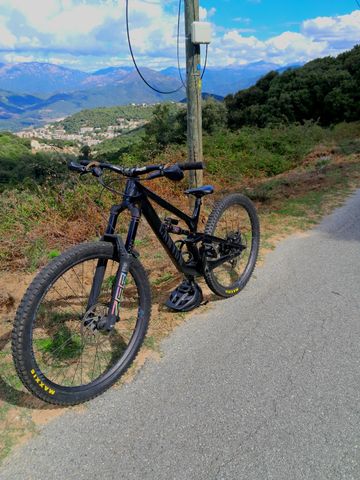 Used Canyon Torque 29 CF 7 2023 2023 Mountainbike, Black, 29 — image 1 of 10