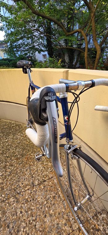 Used De Rosa Professional Slx 1990 Road & Gravel, Blue — image 8 of 28