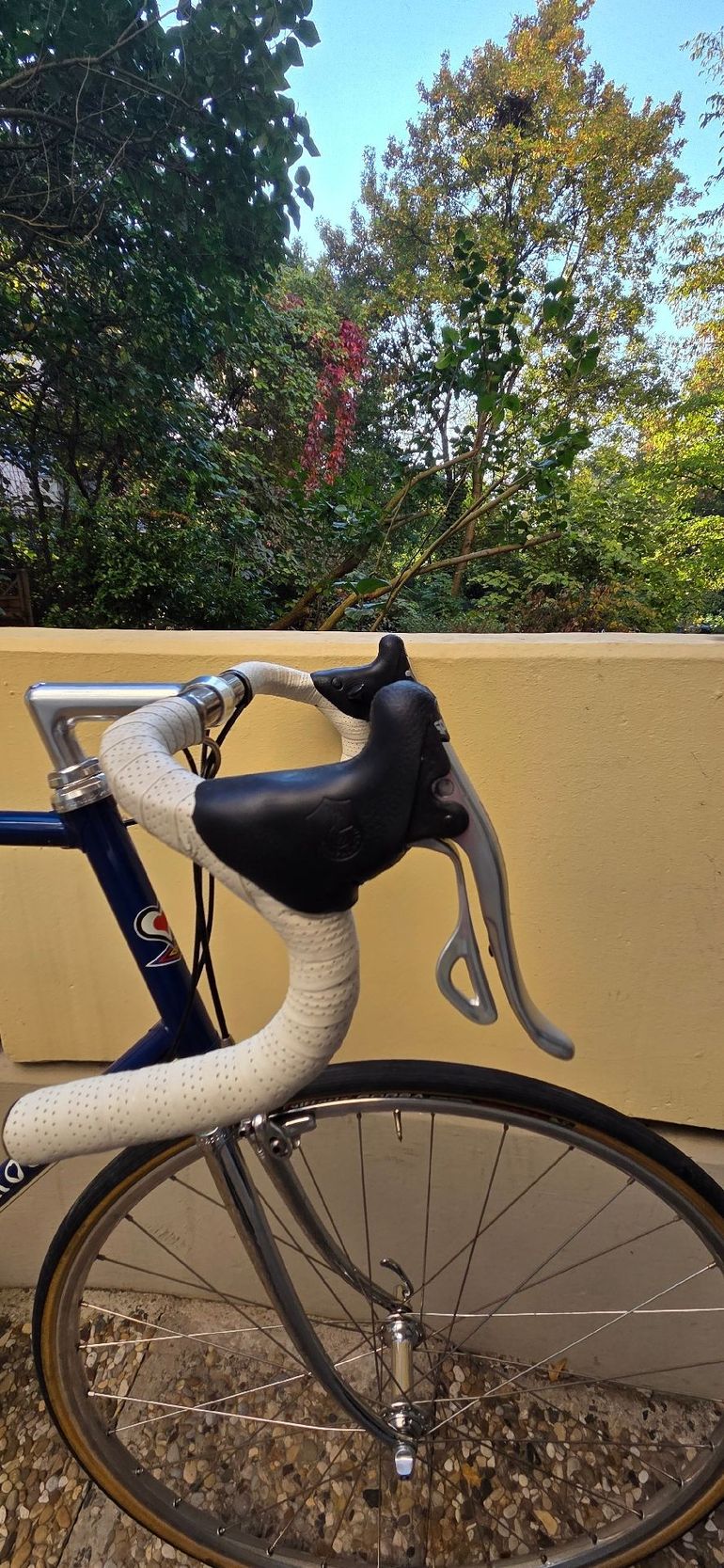 Used De Rosa Professional Slx 1990 Road & Gravel, Blue — image 9 of 28