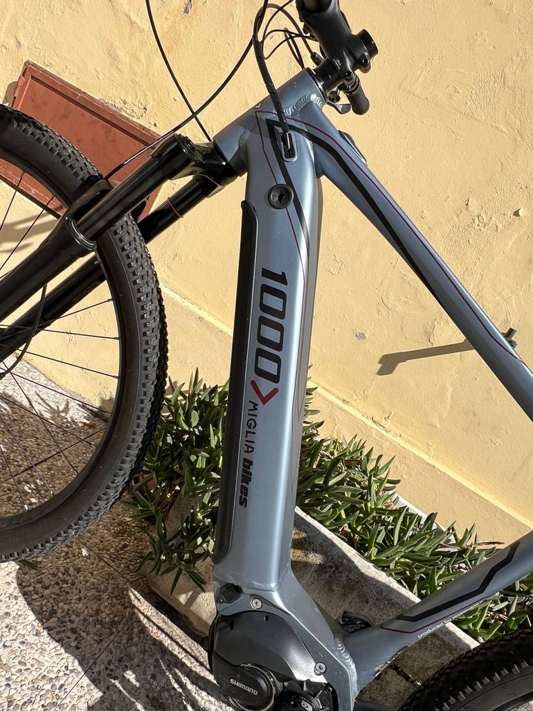 Used Focarini MILLE MIGLIA 2025 Mountainbike, Light Gray, 29 — image 17 of 18