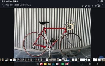 Used Colnago Colnago Mexico 1984 Road & Gravel — image 5 of 6
