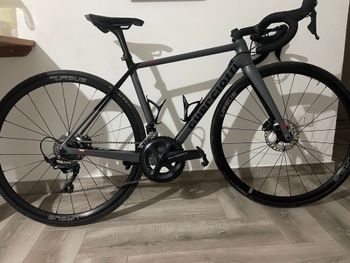 Guerciotti, E-740 Disc