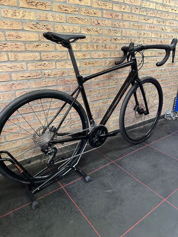 Giant Contend 1 2022 2022