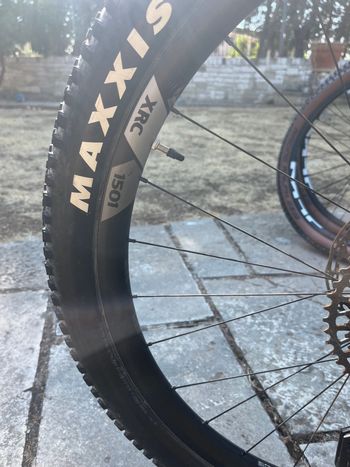 Canyon Lux Trail CF 9 2024 2024 Mountainbike usato, Grigio chiaro — immagine 11 di 15