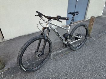 Lapierre, ZESTY TR 3.9 2020