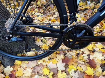 Used Trek Madone SL 5 Gen 8 2025 2025 Road & Gravel, Black — image 4 of 10