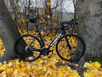 Used Trek Madone SL 5 Gen 8 2025 2025 Road & Gravel, Black — image 2 of 10