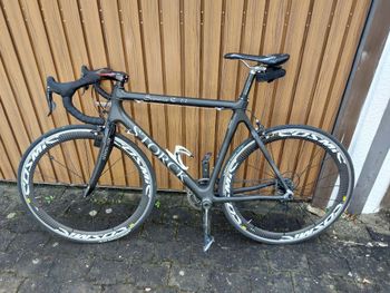 Storck, Scenario 1.1