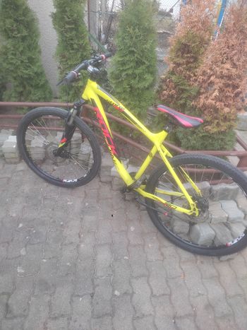 Used Rock Machine Alloy Al-6061 T6 2020 2020 Mountainbike, Orange — image 3 of 4