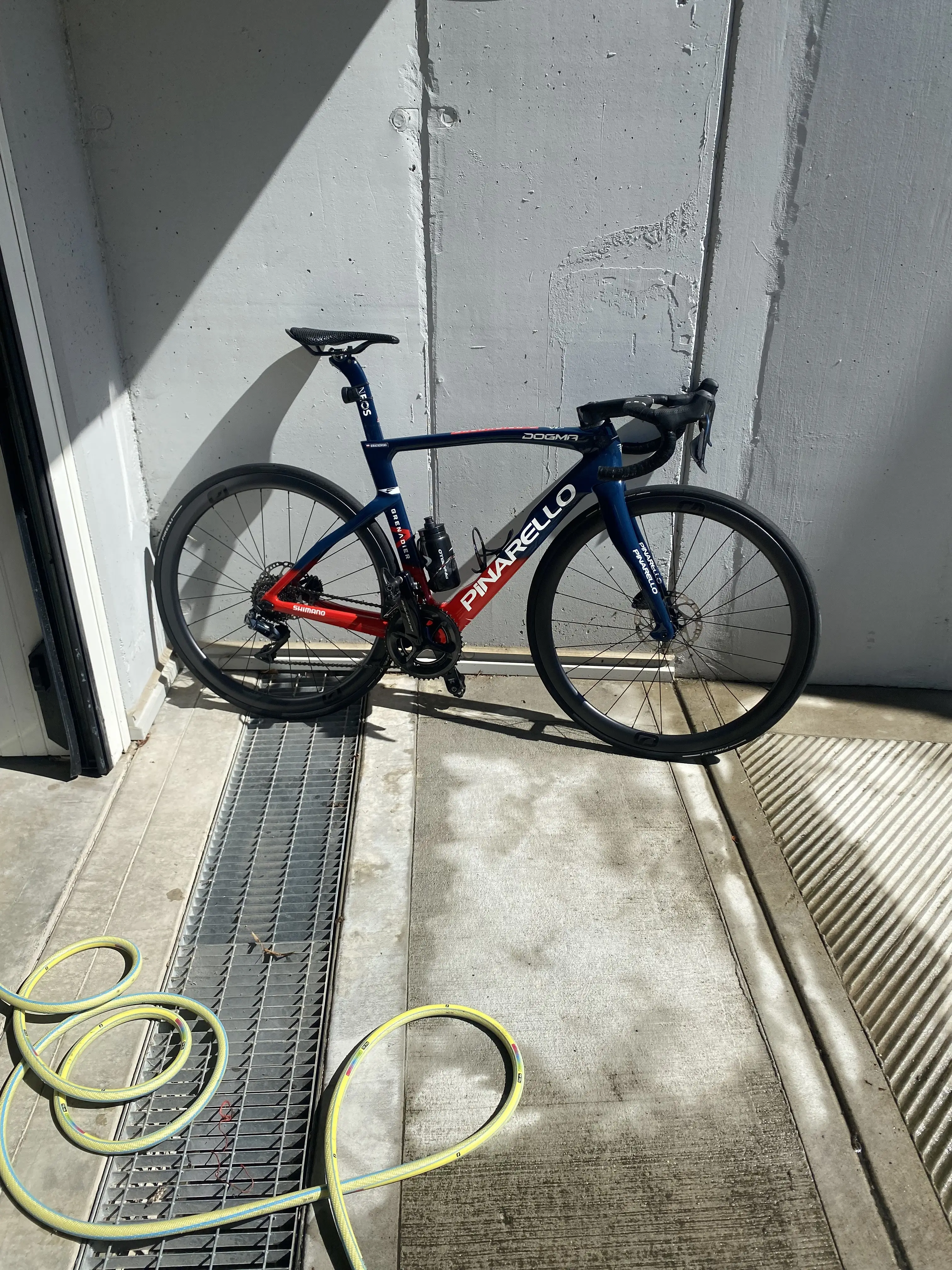 Pinarello dogma deals fs disc