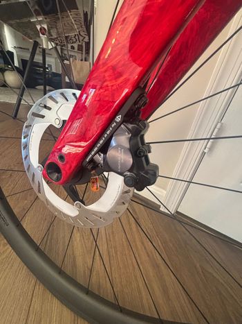 Used Specialized Roubaix SL8 Pro 2025 2025 Road & Gravel, Red — image 5 of 6