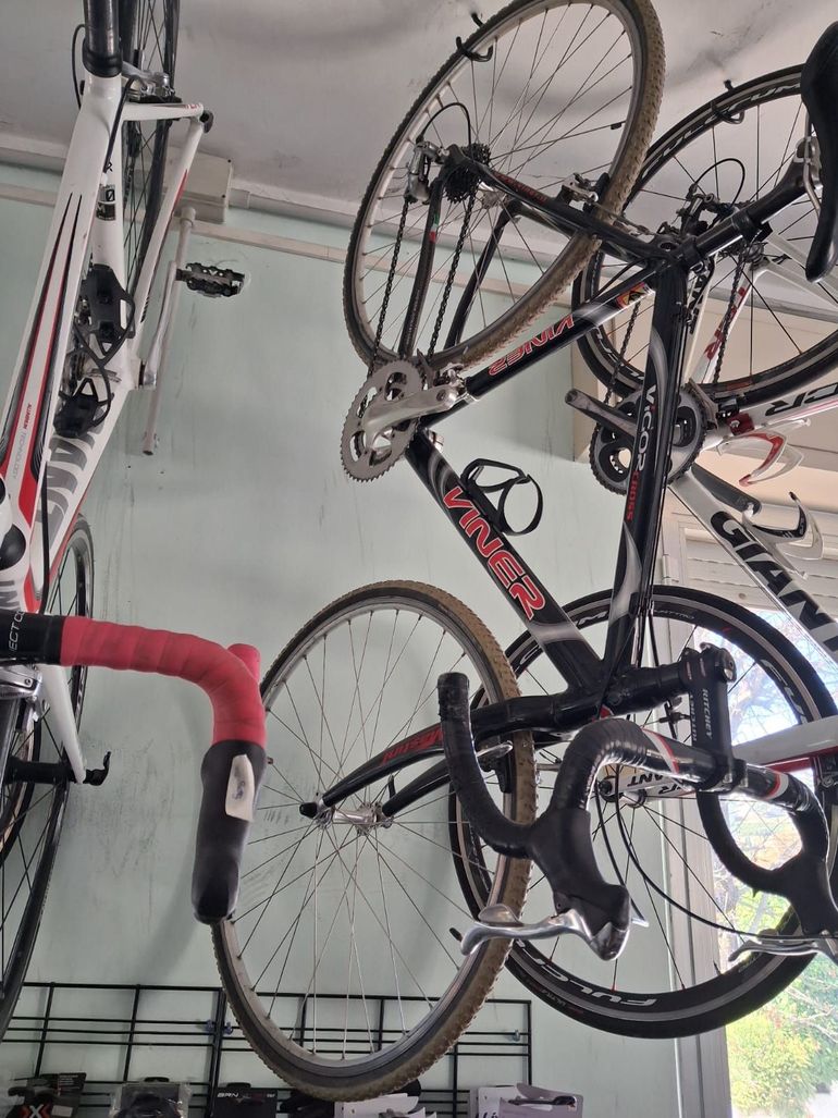 Viner Vigor Cross 2015