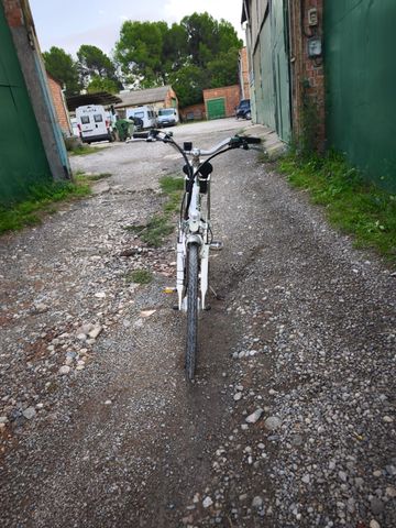 Used Coluer GREENLAND 2010 Road & Gravel, Light Gray — image 4 of 8