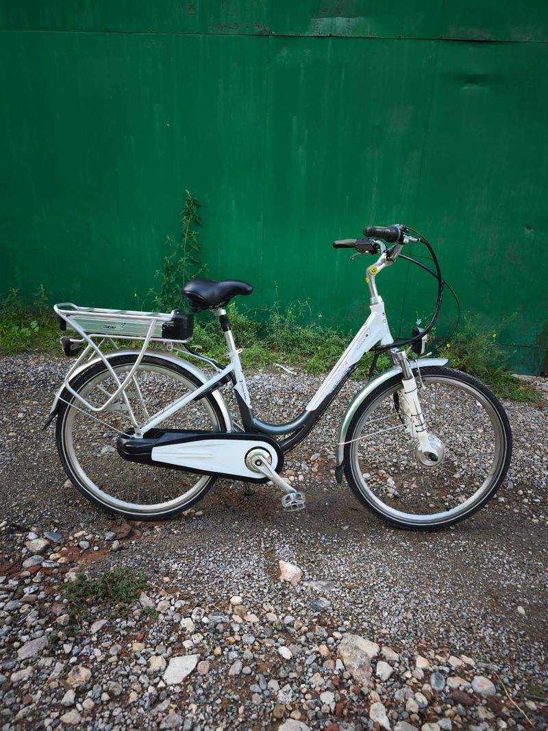 Used Coluer GREENLAND 2010 Road & Gravel, Light Gray — image 7 of 8