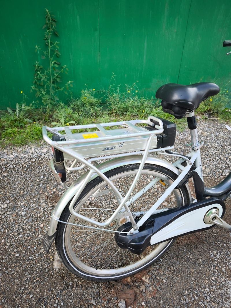 Used Coluer GREENLAND 2010 Road & Gravel, Light Gray — image 2 of 8