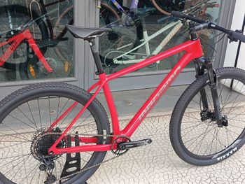 Used Megamo FACTORY 30 2022 2022 Mountainbike — image 2 of 6