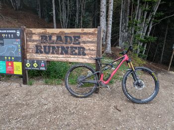 Gebrauchtes Specialized Enduro SRAM X0 2018 Mountainbike, Violett, 29 — Bild 2 von 3