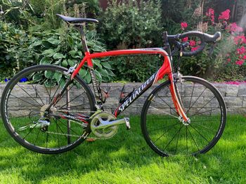 Used Specialized Tarmac Expert Ultegra 2008 Road & Gravel, Red — image 2 of 14