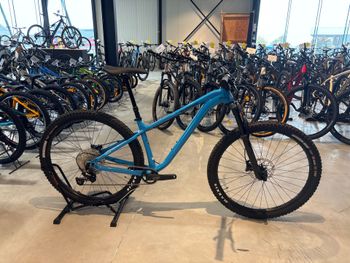 Kona, Honzo DL 2022