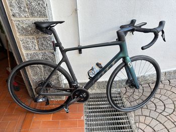 Scott Addict 50 2025