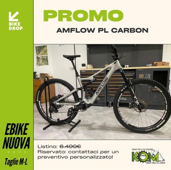 Amflow, PL CARBON