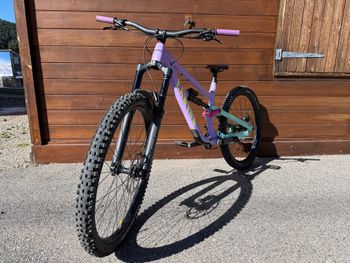 Canyon Torque 29 AL 5 2022 2022 Mountainbike usato, Viola — immagine 2 di 13