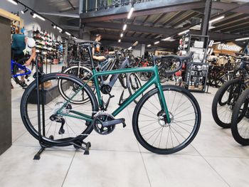 Specialized Expert 2023 2023