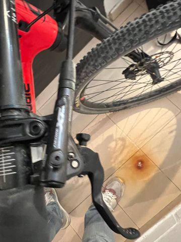 Použité Cannondale Scalpel SRAM XX1 Eagle 2019 Mountainbike — obrázek 4 z 7