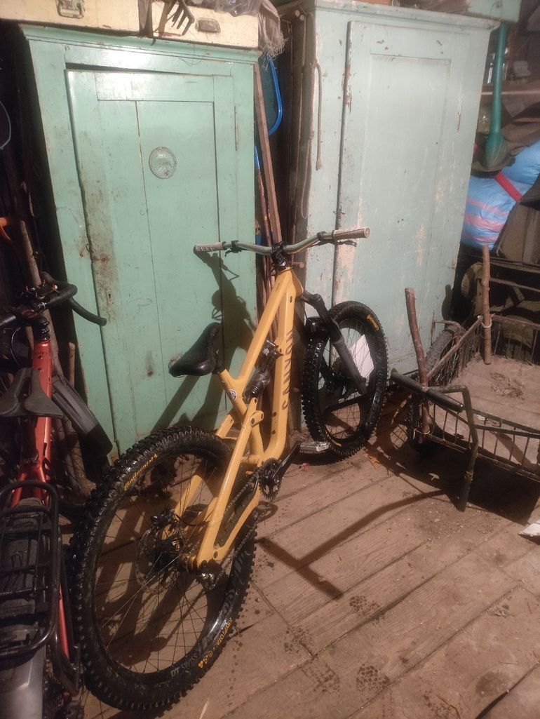 Canyon Torque 29 AL 6 2022 2022 Mountainbike usato, Arancione — immagine 3 di 3
